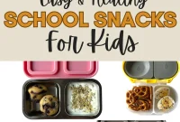 Nutritious School Snacks for Kids to Pack in Lunchboxes