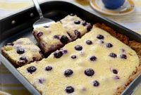 Lemon Blueberry Bars Recipe for Tangy Summer Dessert