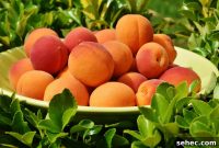 How to Freeze Peaches for Fresh Flavor Year Round