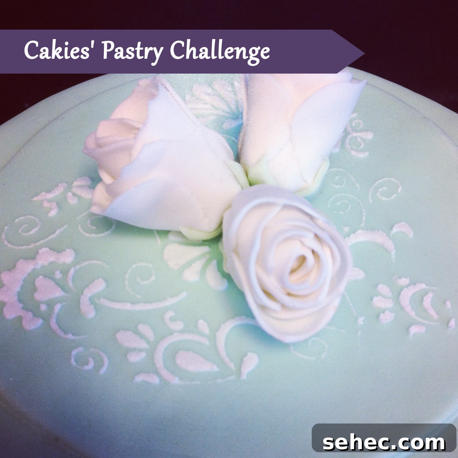 featured 2194