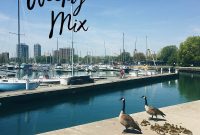 Weekly Mix Newsletter Fresh Ideas and Updates