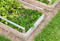 Raised Bed Gardening for Beginners Plan Plant and Grow