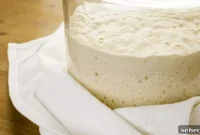 21 Zero Waste Ways to Use Sourdough Discard