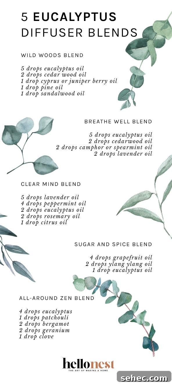 5 Eucalyptus Diffuser Blends - Hello Nest