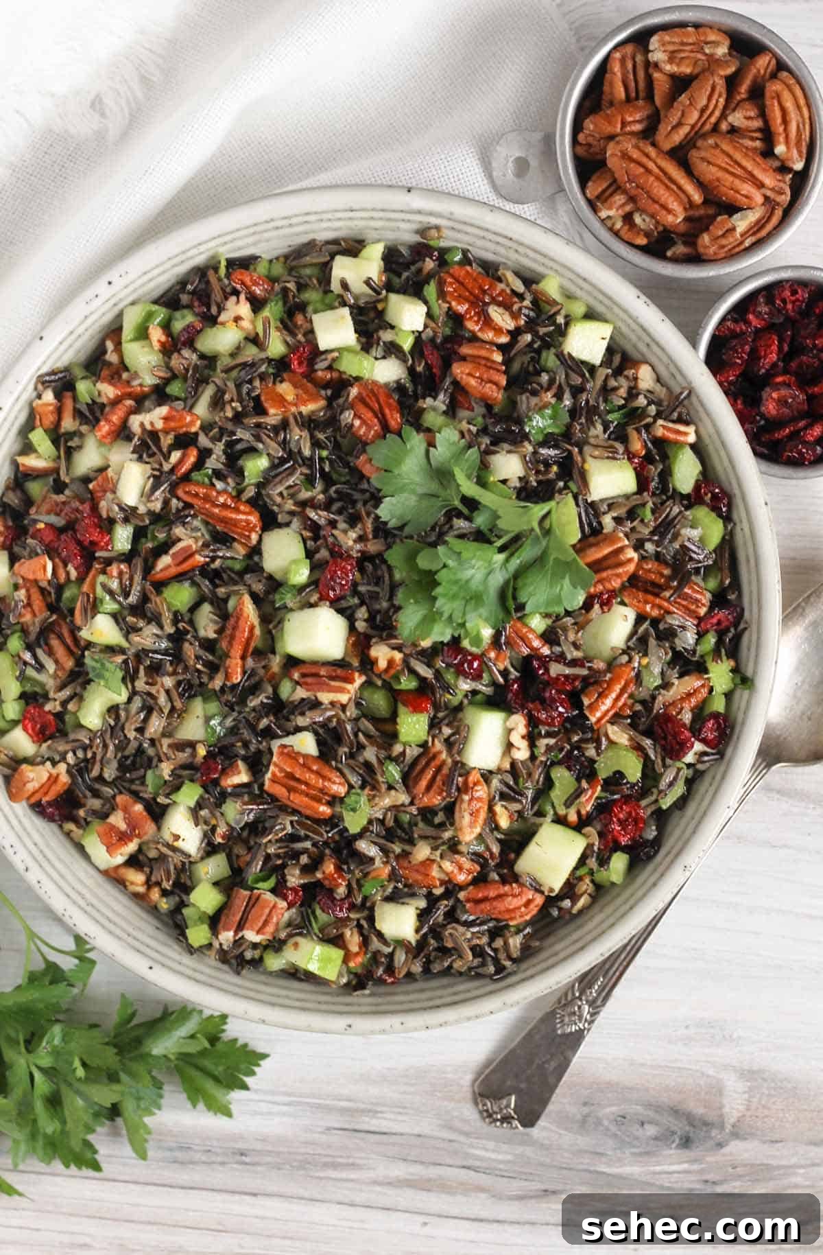 Cold Wild Rice Salad with Cranberries and Pecans 2 Wild rice salad in a ceramic serving bowl with a vintage serving spoon in the salad and a small dish of dried cranberries and pecans on the side.