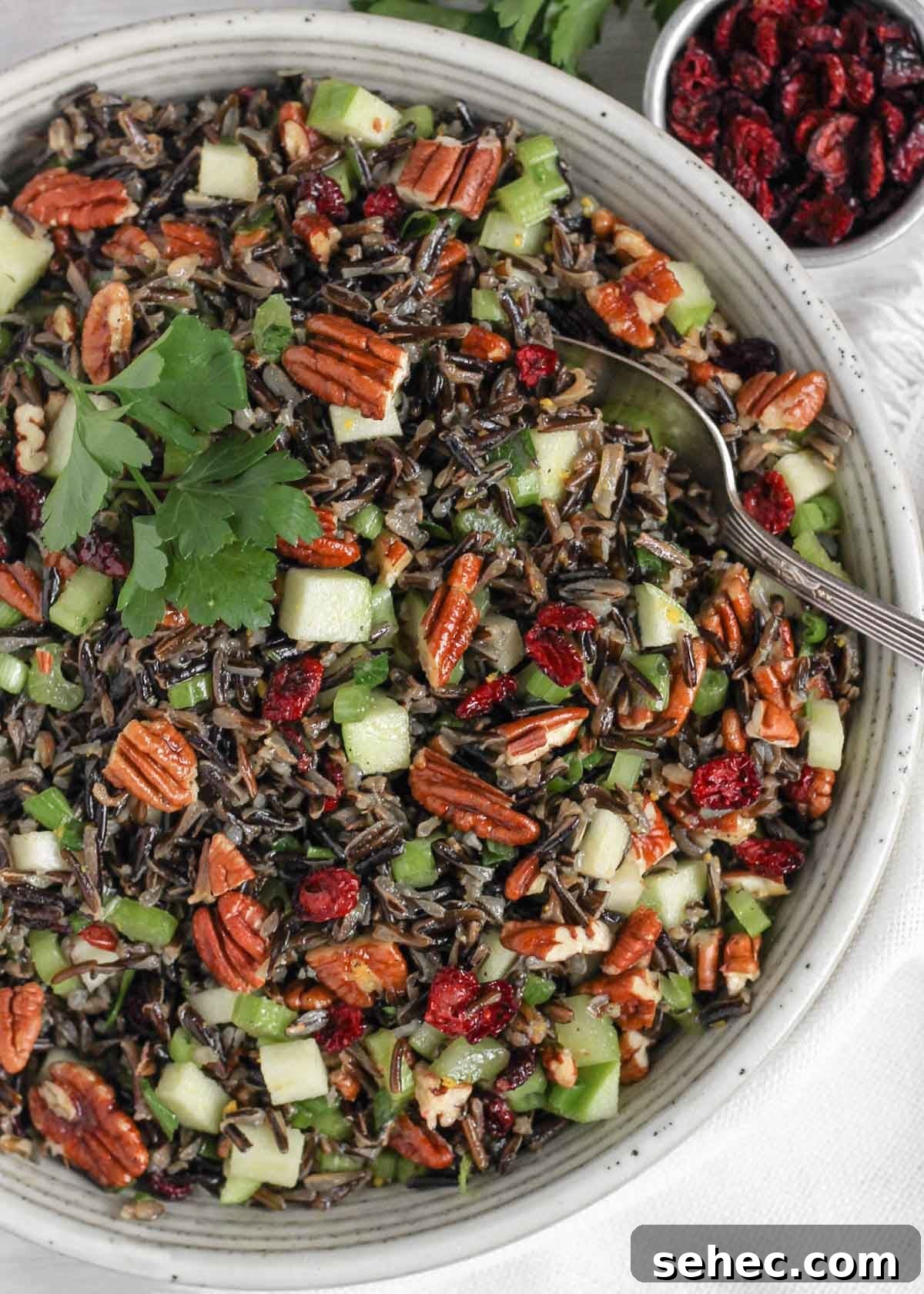Cold Wild Rice Salad with Cranberries and Pecans 4 Wild rice salad in a ceramic serving bowl with a vintage serving spoon in the salad and a small dish of dried cranberries on the side.