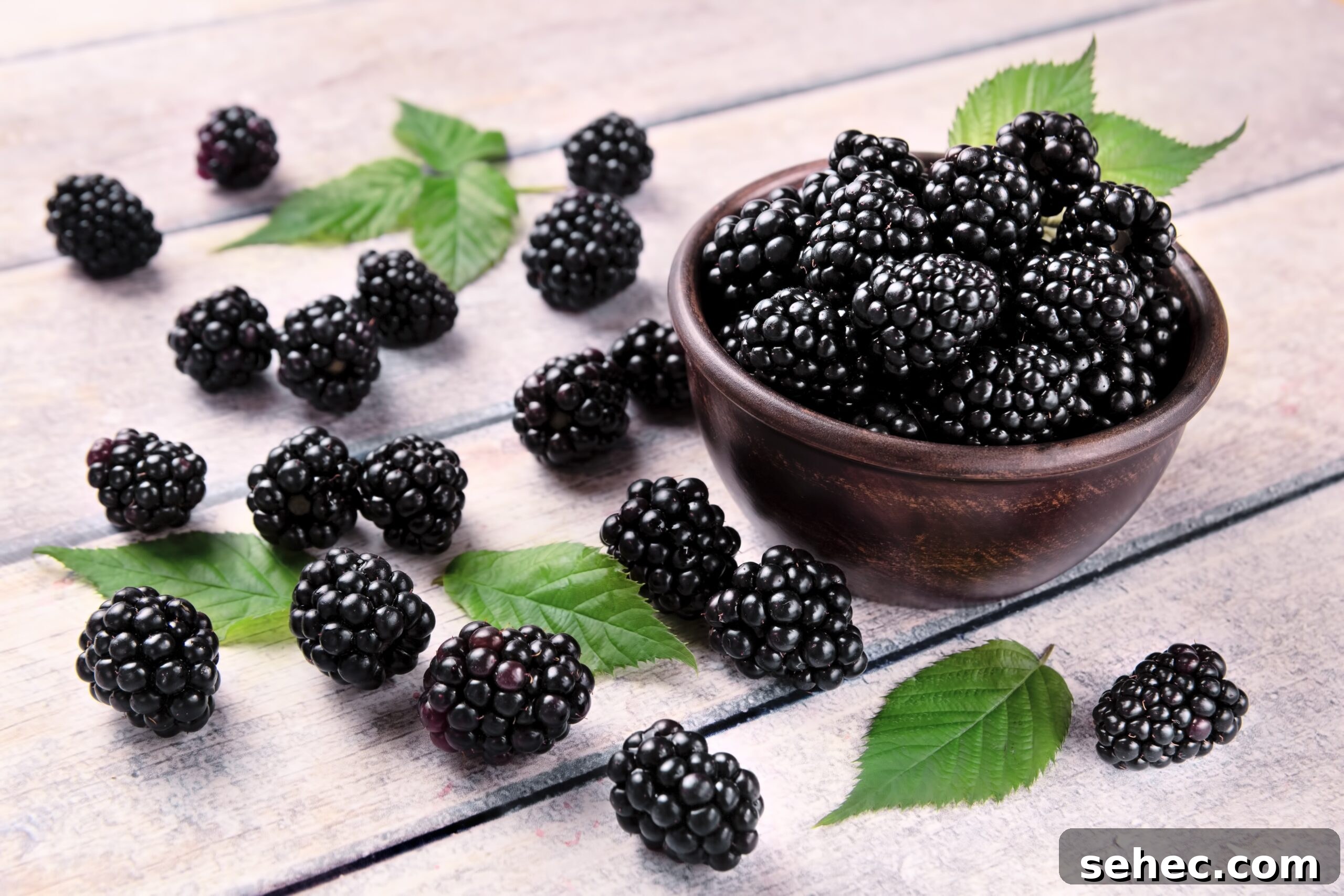 #6: Blackberries #6: Blackberries