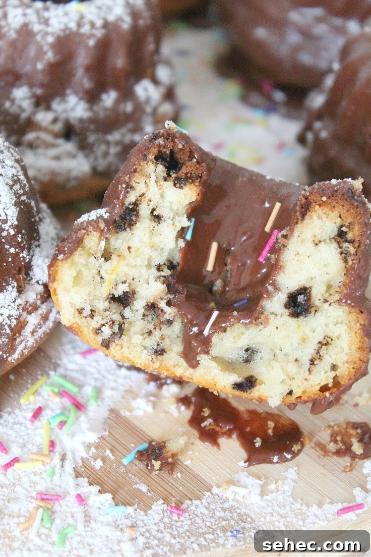 Mini Orange Bundt Cakes with Nutella Chocolate Glaze 3 mini orange bundt cakes
