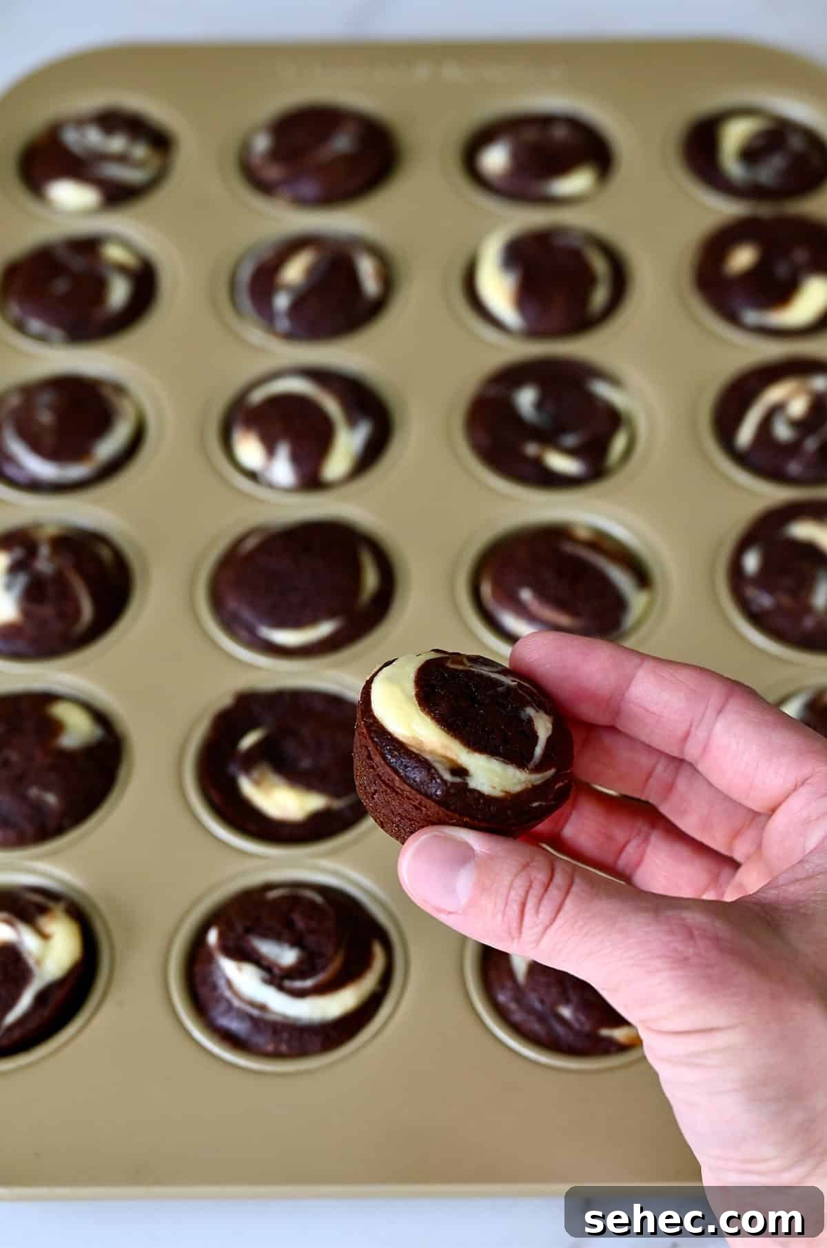 A hand holds a mini brownie bite swirled with cheesecake.