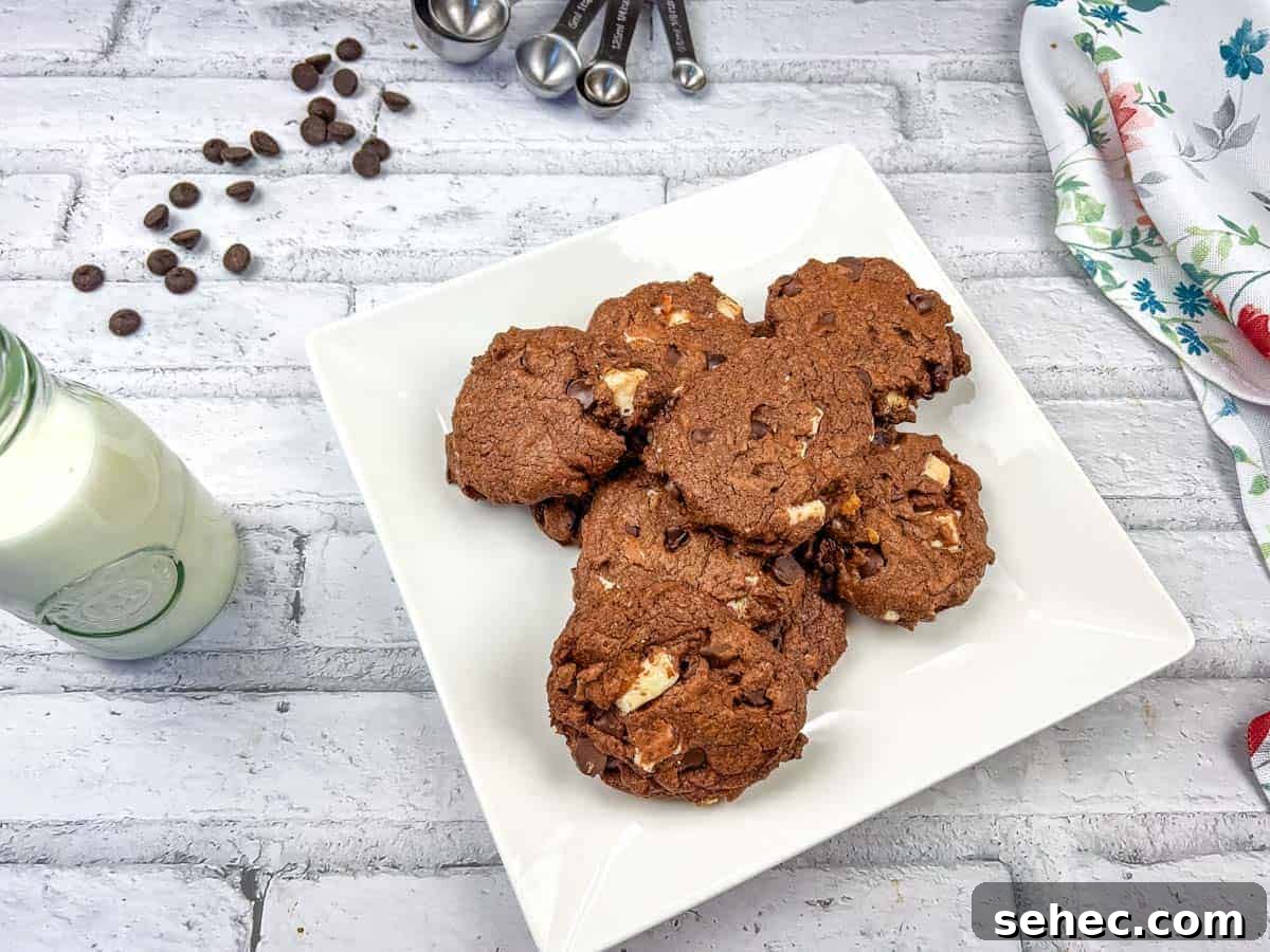 17 Buttery Fall Cookie Recipes for Cozy Shorter Days 18 Chocolate overload cookies on a white plate.