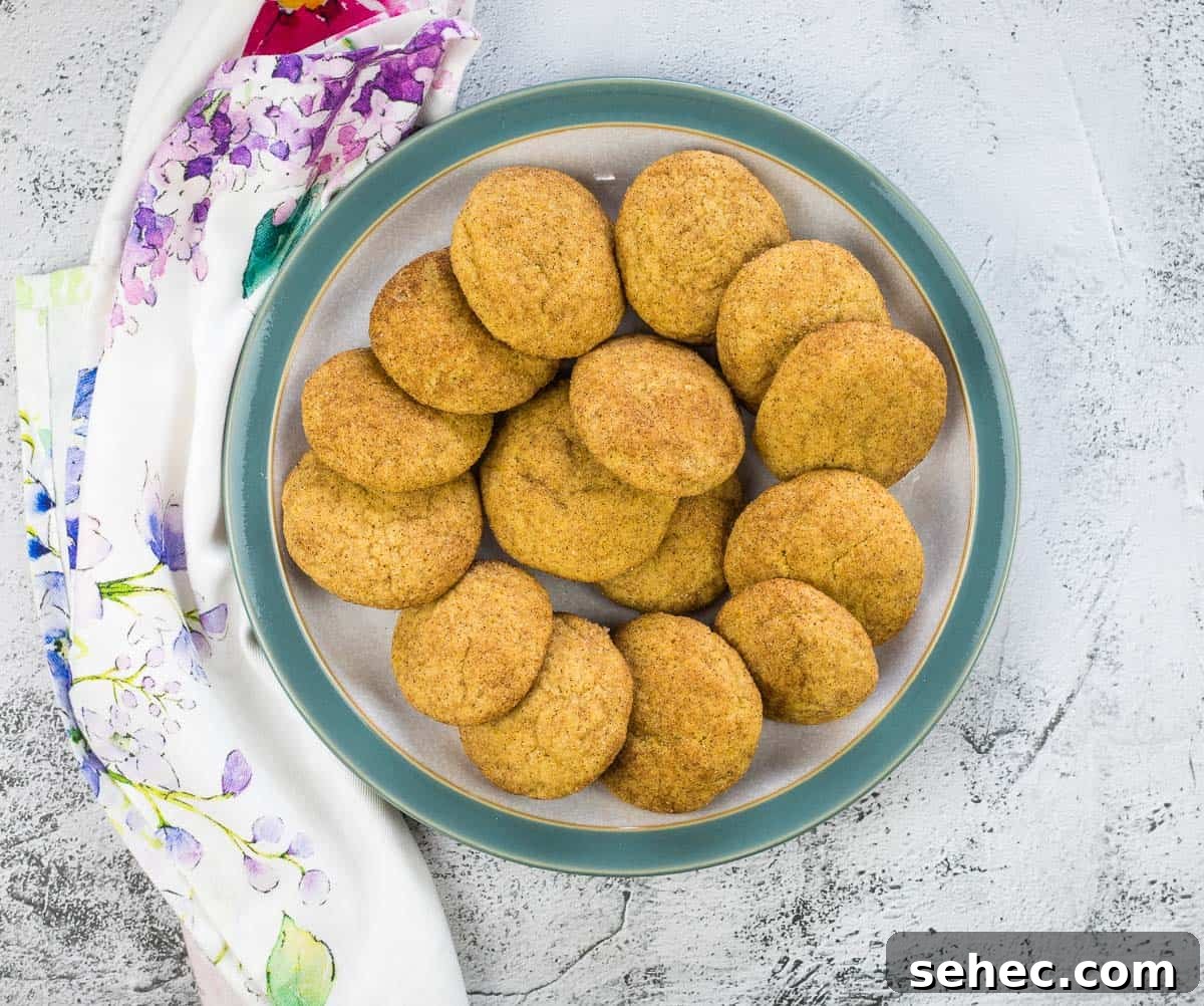 17 Buttery Fall Cookie Recipes for Cozy Shorter Days 4 Pumpkin Snickerdoodles in a circle on a grey and blue plate.