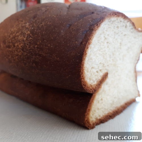 Fluffy low carb sandwich bread loaf