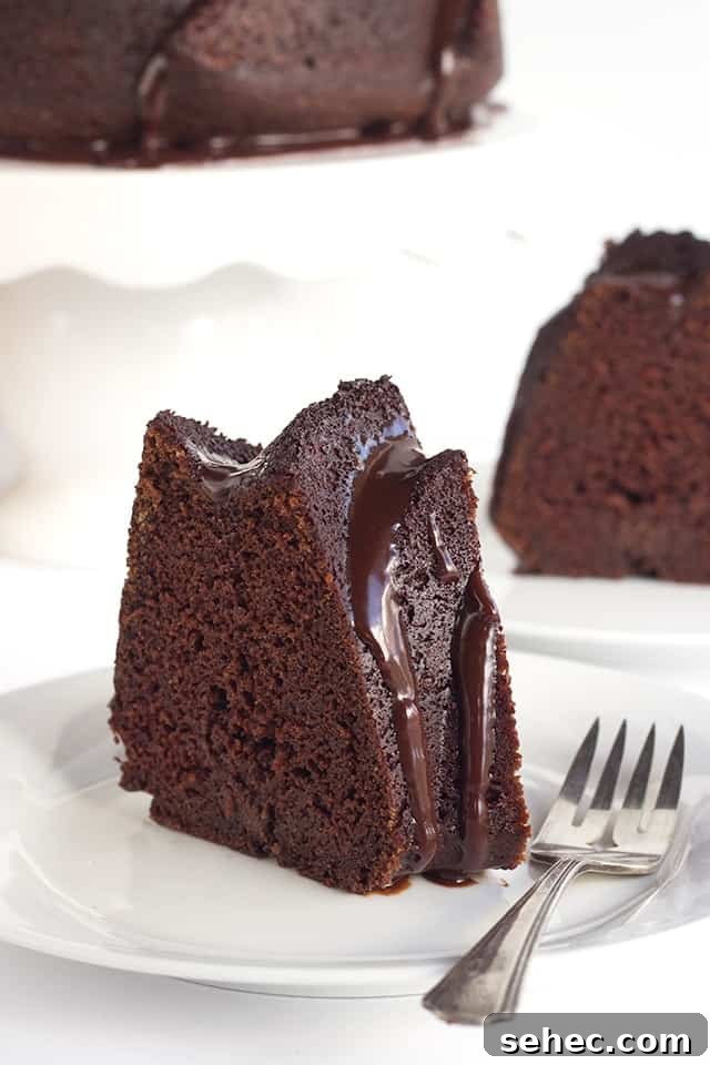 Chocolate Whiskey Cake Recipe 2 slice of Chocolate Whiskey Cake made from scratch