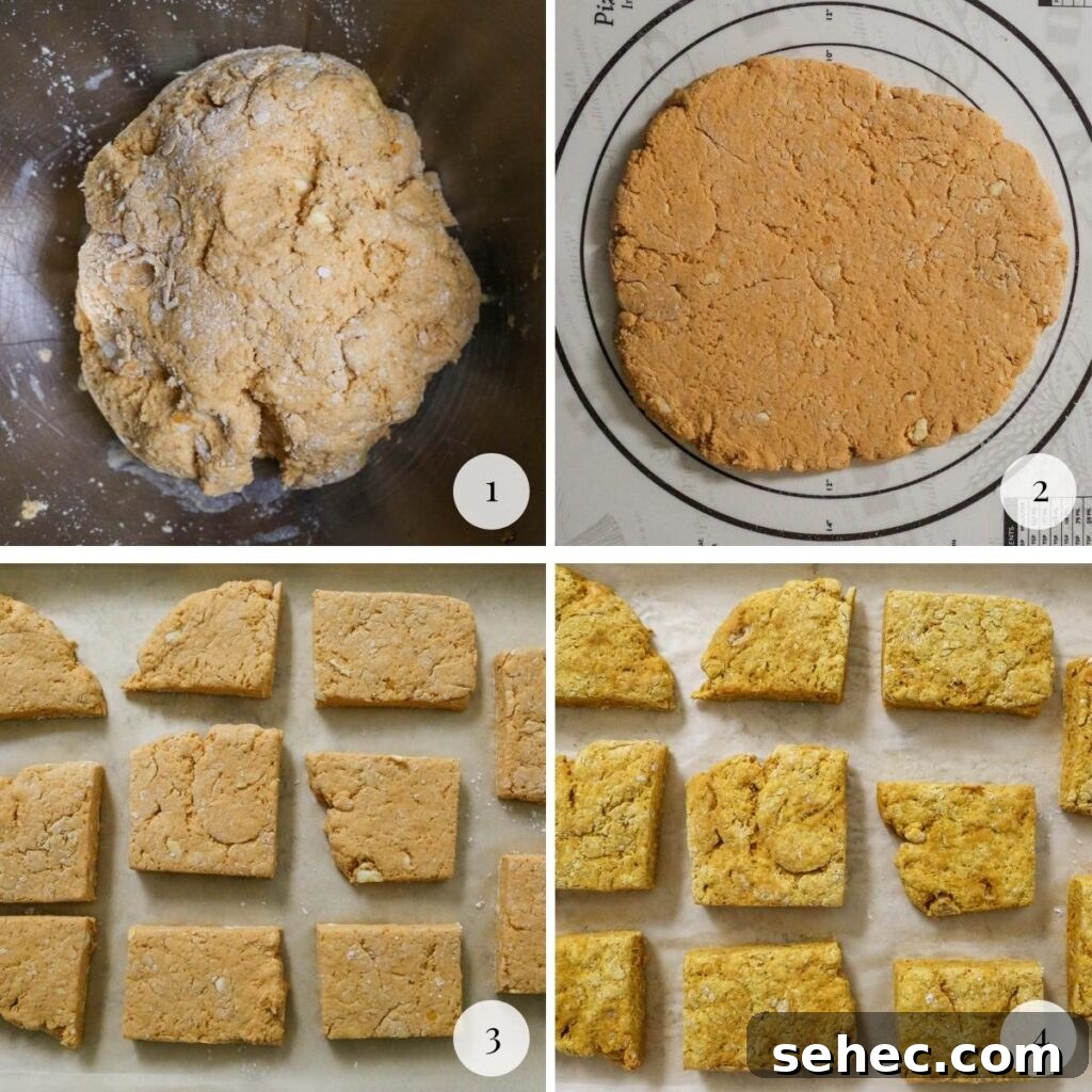 Gluten Free Sweet Potato Biscuits Recipe 4 instruction photos for gluten free sweet potato biscuits with the dough in a bowl, the dough rolled out, the dough cut into biscuits and the biscuits baked on a baking pan