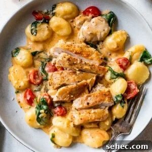 Creamy Chicken Gnocchi Skillet Recipe 11 a bowl of gnocchi coated in a creamy sauce with tomatoes, spinach and sliced chicken