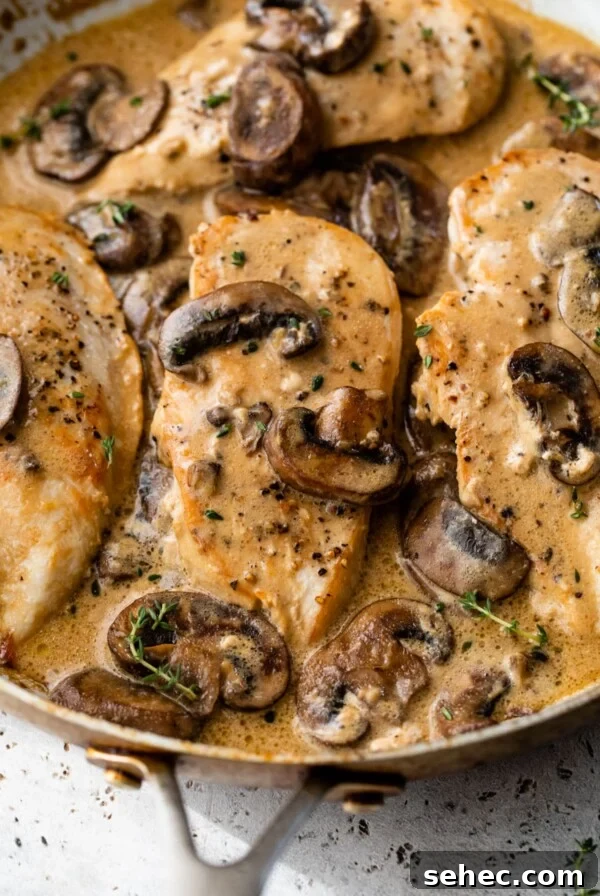Creamy Chicken Gnocchi Skillet Recipe 8 close up photo of cooked chicken breast in a skillet with a creamy mushroom sauce