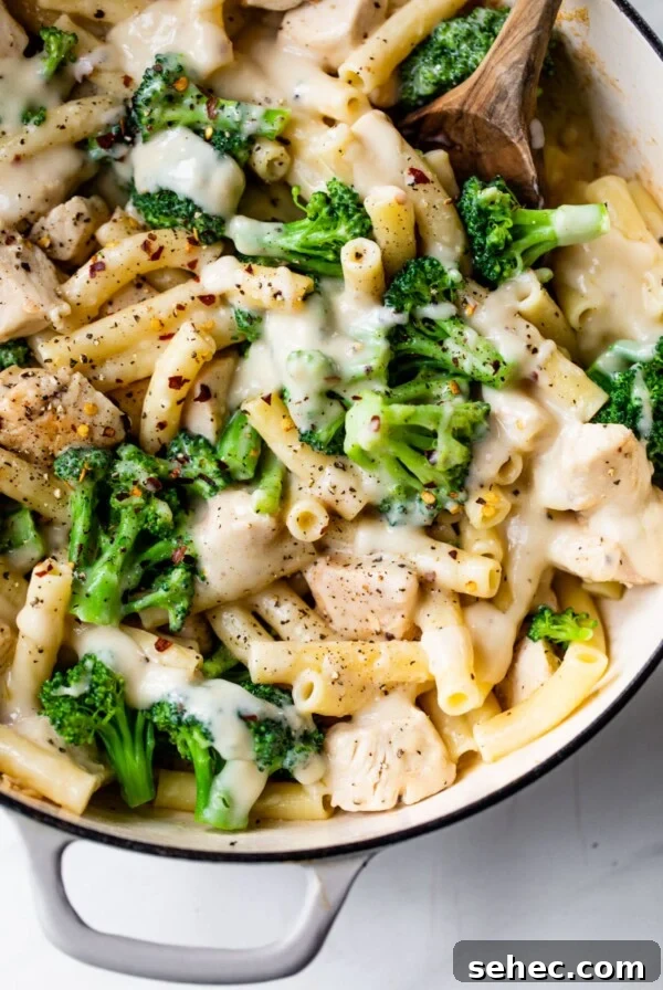 Creamy Chicken Gnocchi Skillet Recipe 9 skillet filled with pasta, chicken, broccoli, and alfredo sauce