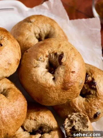 Sourdough Discard Cinnamon Raisin Bagels in a pile.