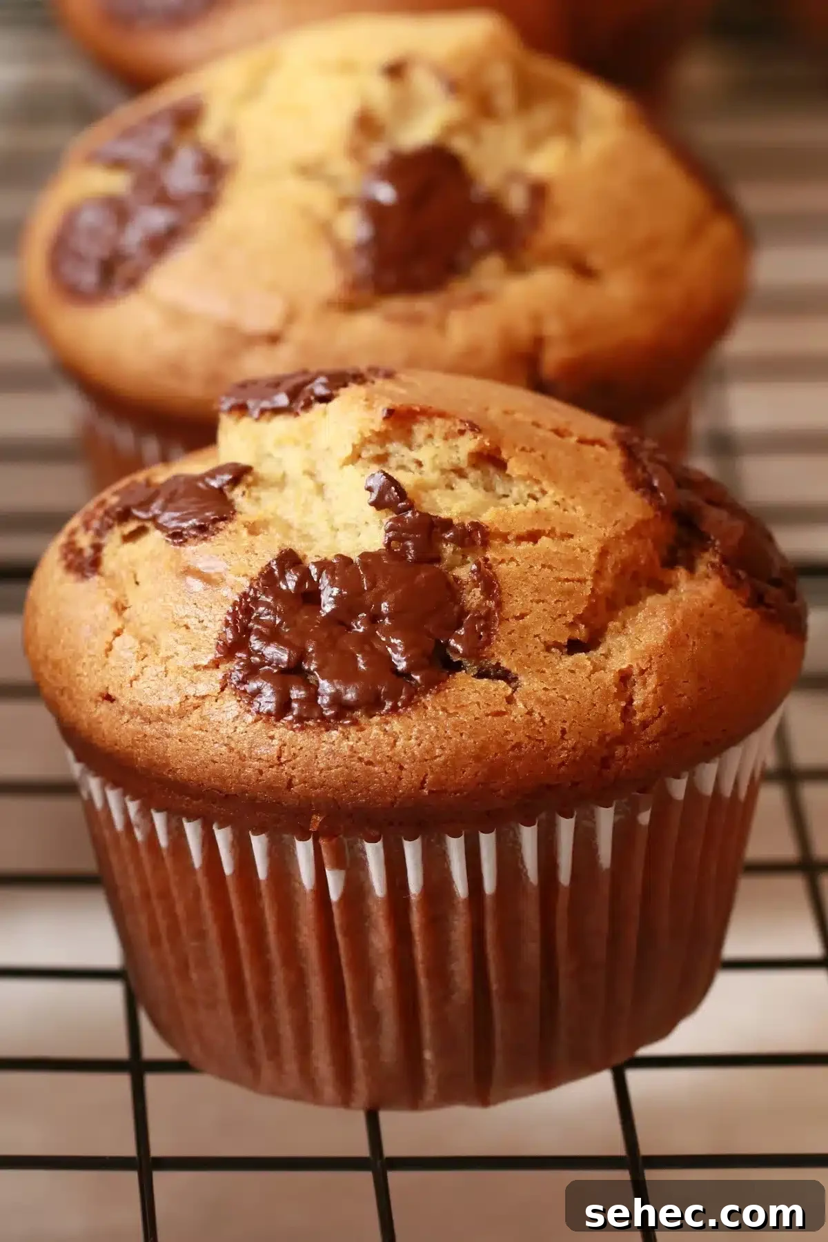 Soft Peanut Butter Chocolate Chip Muffins 2 chocolate chip peanut butter muffins on a wire rack