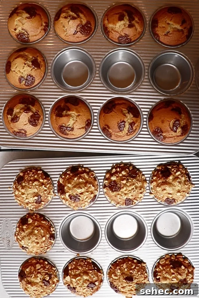 Soft Peanut Butter Chocolate Chip Muffins 11 peanut butter muffins in cupcake pans