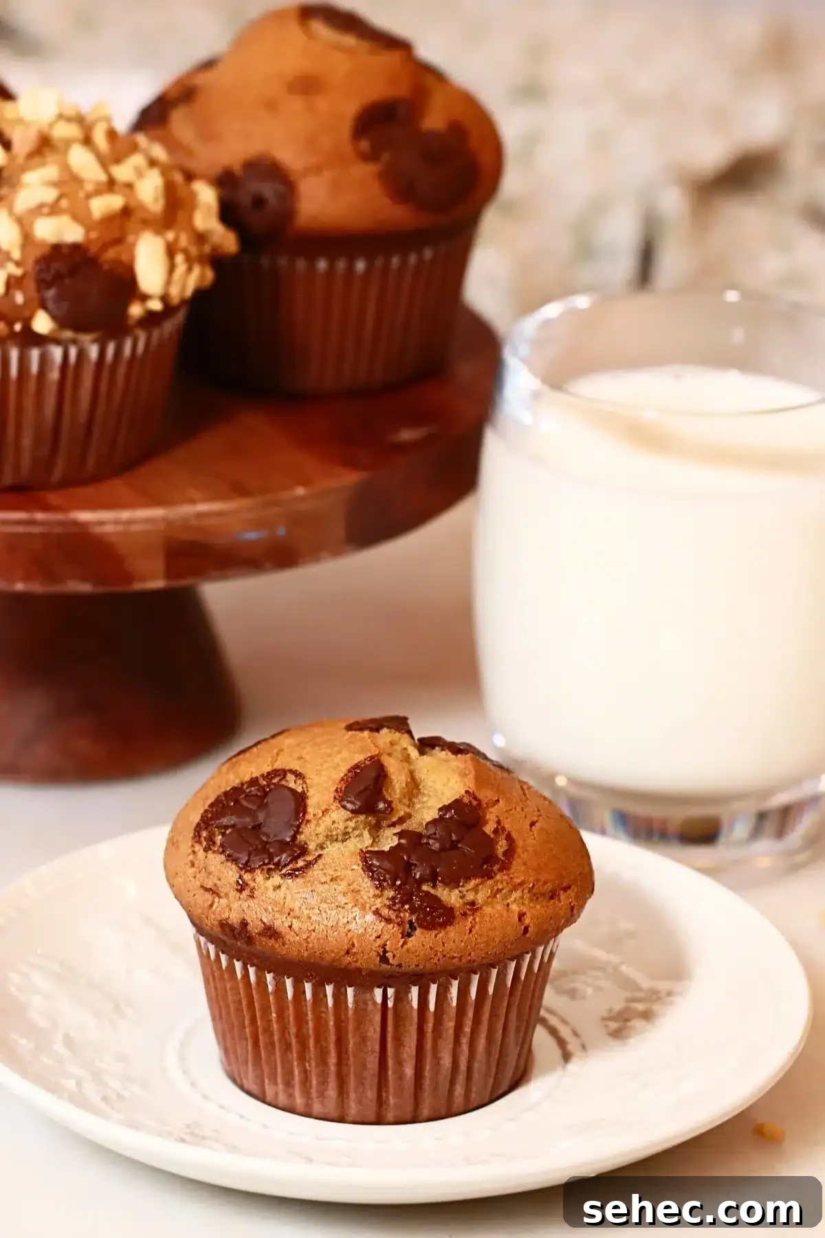 Soft Peanut Butter Chocolate Chip Muffins 12 a homemade chocolate chip peanut butter muffin on a white plate