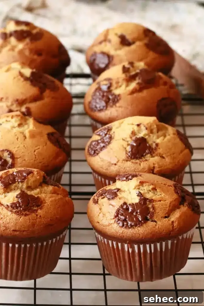 Soft Peanut Butter Chocolate Chip Muffins 13 freshly made chocolate chip peanut butter muffins cooling on a wire rack