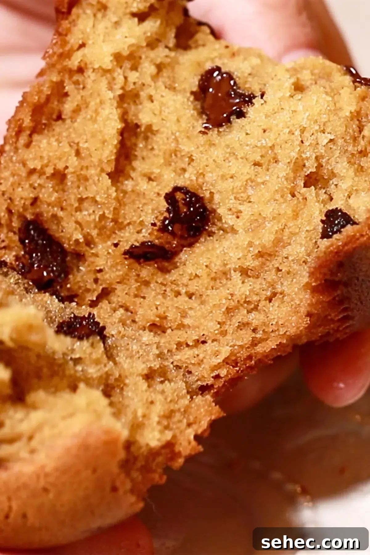 Soft Peanut Butter Chocolate Chip Muffins 3 the texture of peanut butter chocolate chip muffins