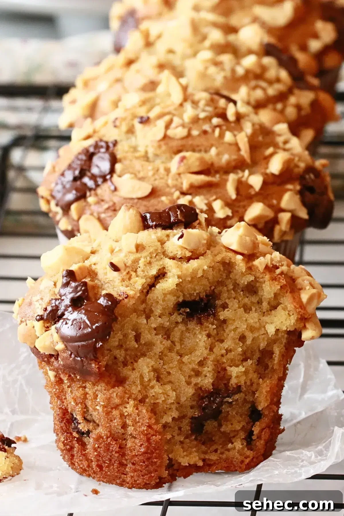 Soft Peanut Butter Chocolate Chip Muffins 4 chocolate chip peanut butter muffins with diced peanuts on top of them