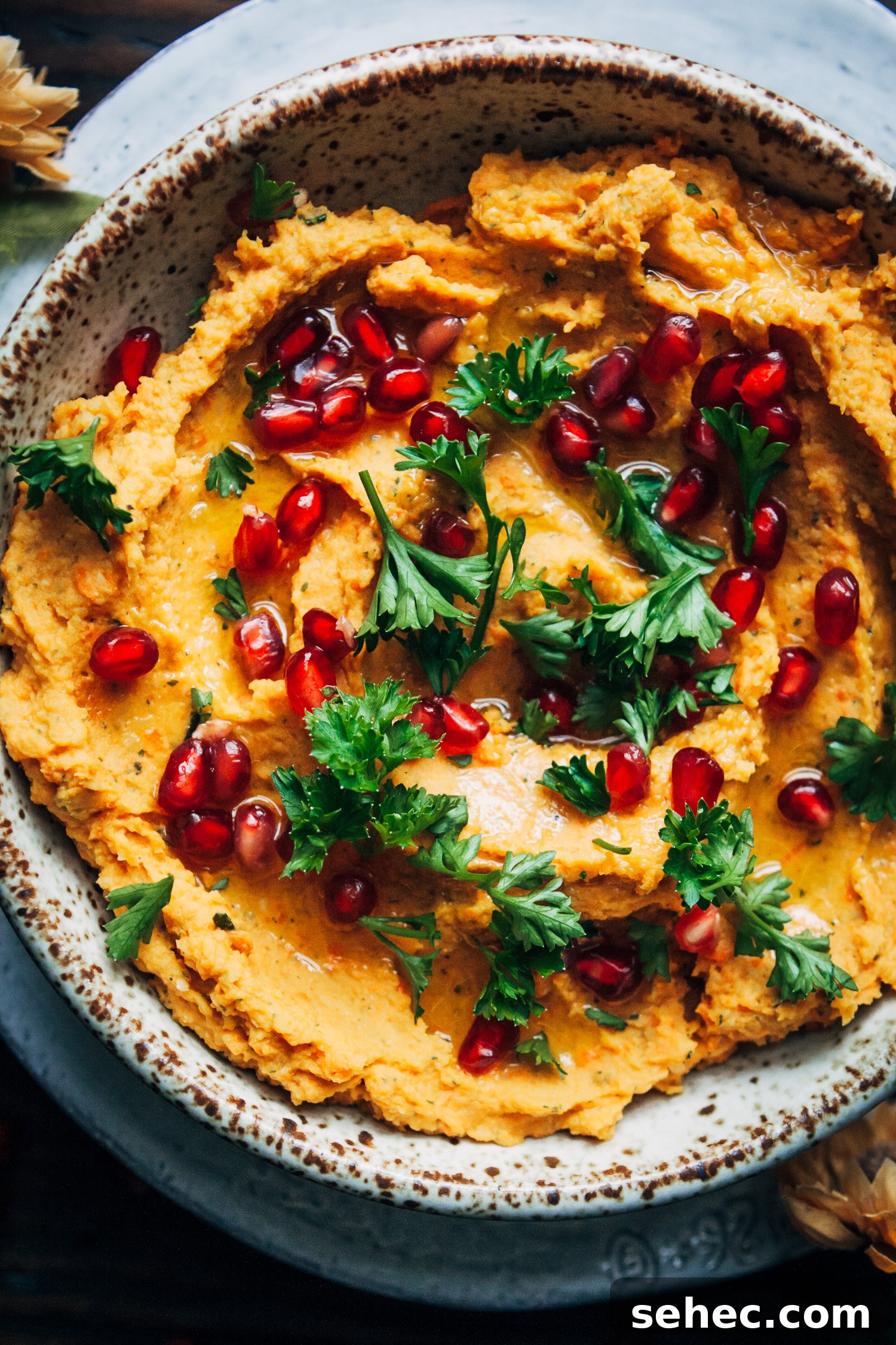 Vegan Holiday Hummus Recipe 4 Festive vegan hummus appetizer with pomegranate seeds and herbs