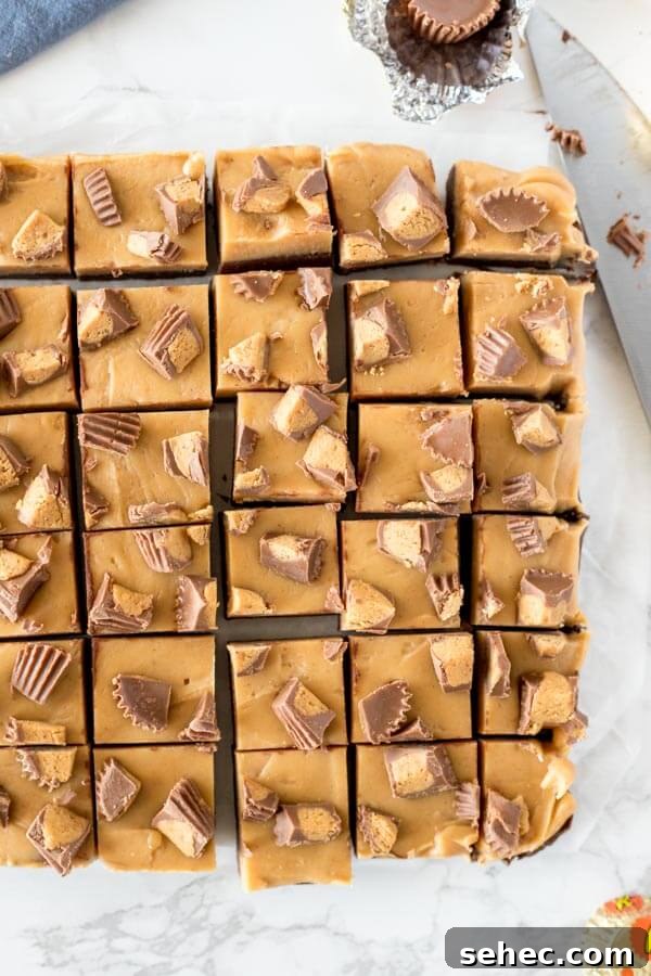 Chocolate Peanut Butter Buckeye Fudge Recipe 3 A pan of chocolate peanut butter fudge with peanut butter cups on top cut into pieces and photographed from above.
