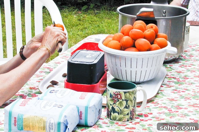 Homemade Apricot Almond Jam Recipe 2 Prepping for jam-making