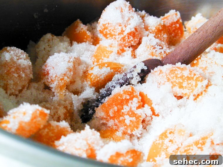 Apricots and sugar