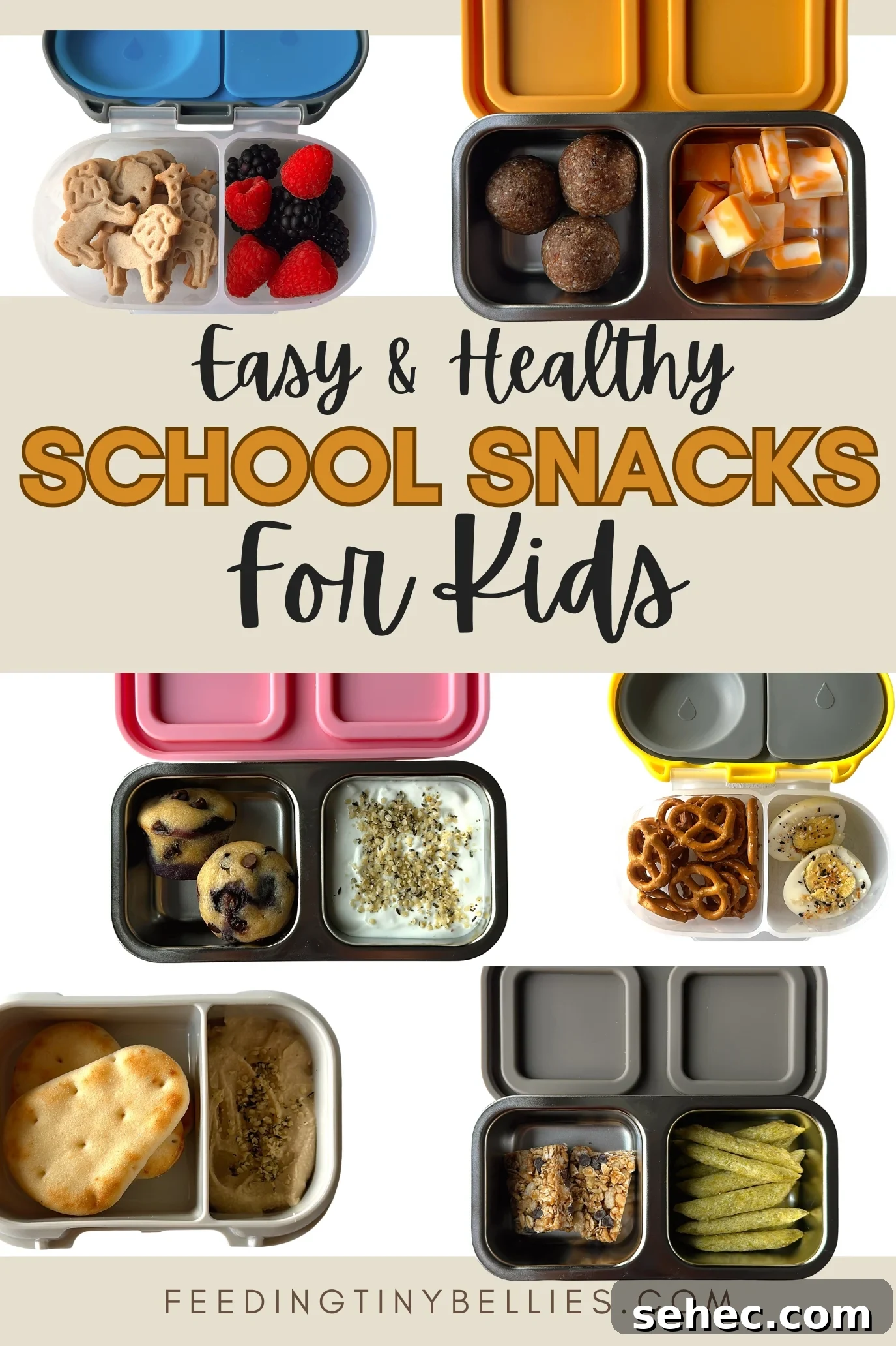 Nutritious School Snacks for Kids to Pack in Lunchboxes 2 Healthy school snacks for kids.