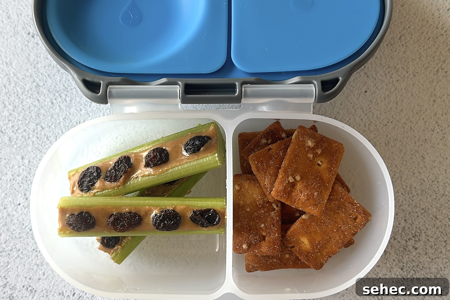 Nutritious School Snacks for Kids to Pack in Lunchboxes 11 Ants on a log snackbox.