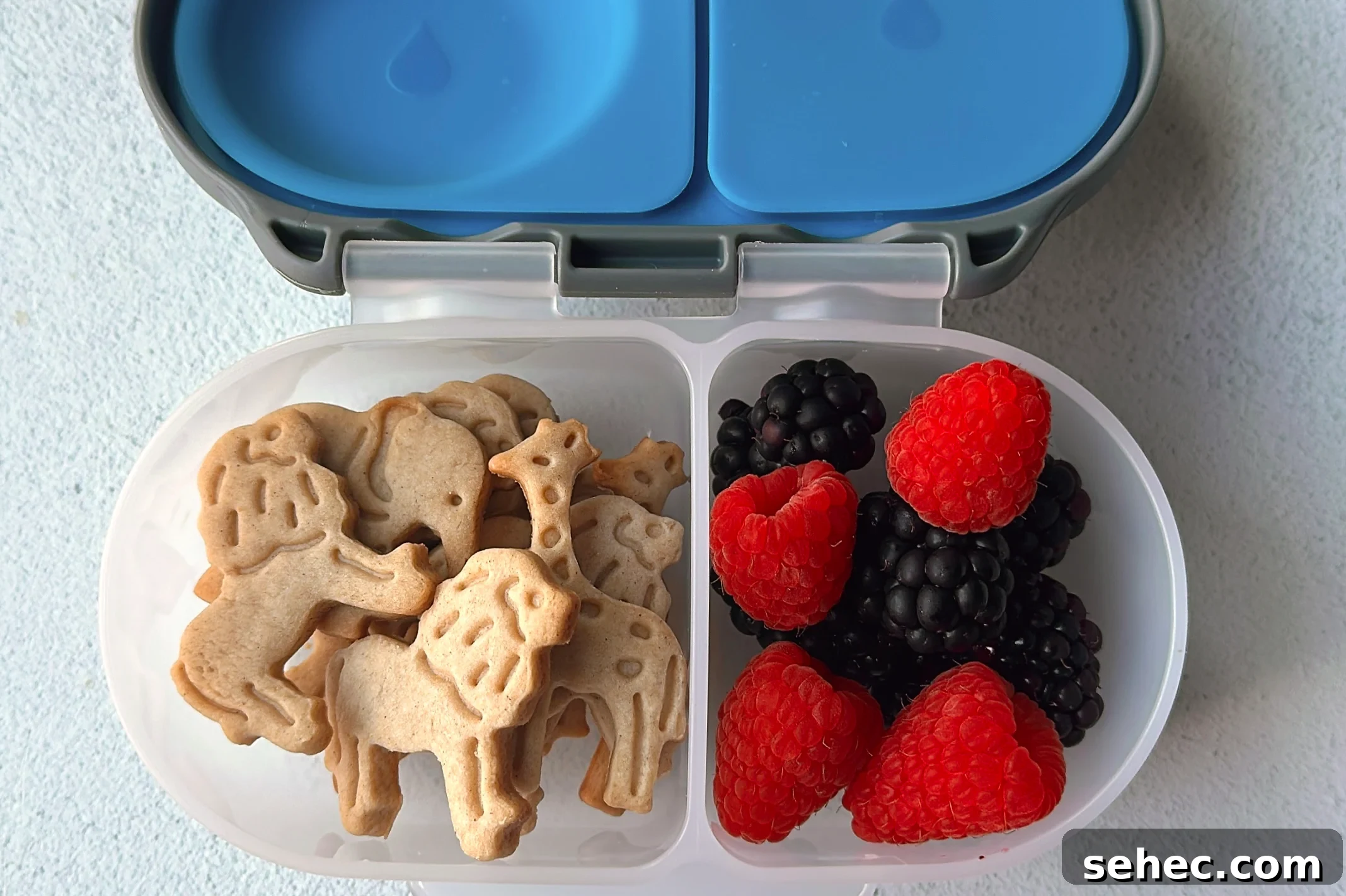 Nutritious School Snacks for Kids to Pack in Lunchboxes 7 Animal crackers snackbox.