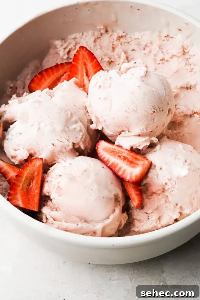 Strawberry Ice Cream with Fresh Basil Oil 3 strawberry ice cream with fresh strawberries in a container