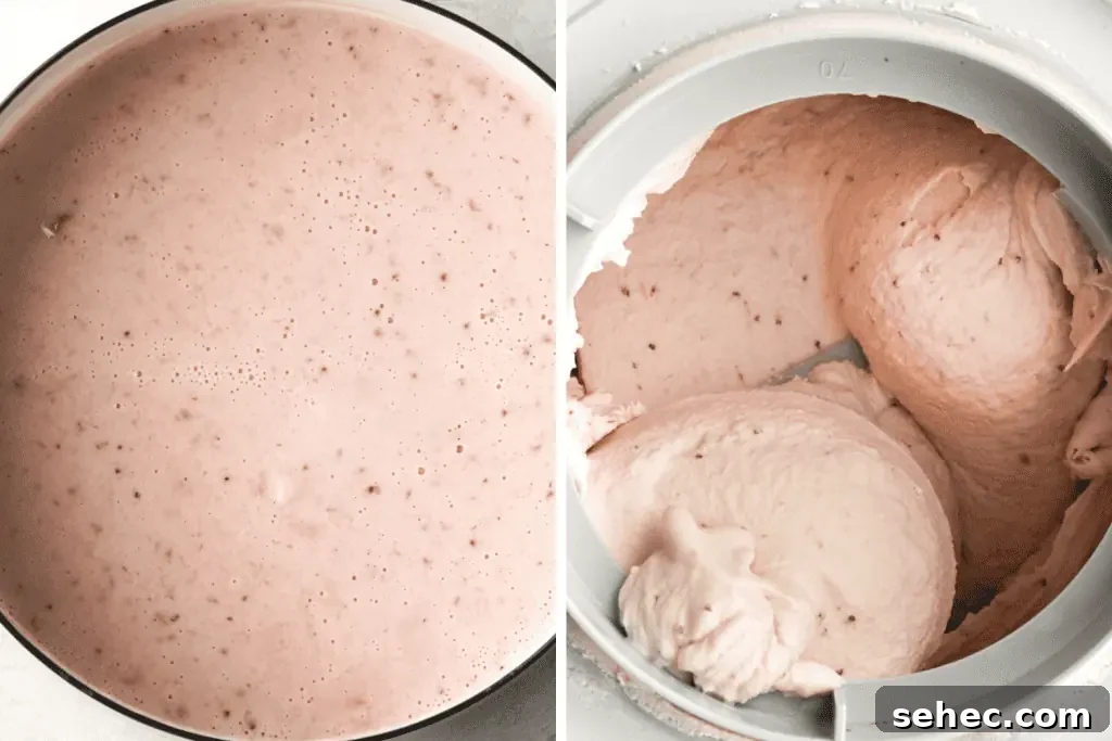 Strawberry Ice Cream with Fresh Basil Oil 7 strawberry-ice-cream-base-and-churned-ice-cream
