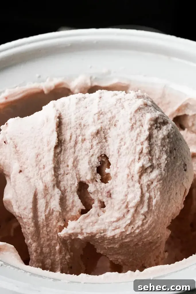 Strawberry Ice Cream with Fresh Basil Oil 10 churned strawberry ice cream in an ice cream machine