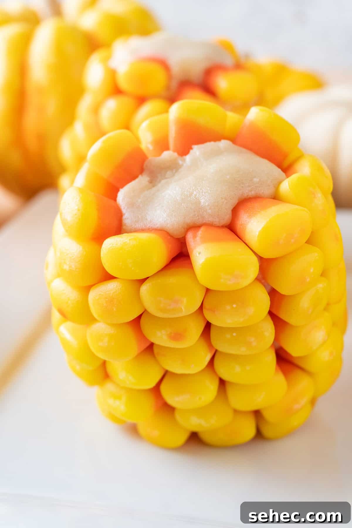 Candy Corn on the Cob Halloween Treats 13 candy corn on the cob standing on end, showing the sugar cookie center and beautiful candy corn kernels.