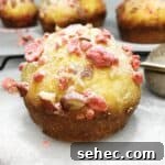 French mini brioche roll topped with pink praline and icing sugar with the rest of brioches on background.