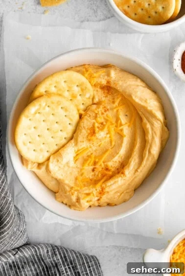 Homemade Cheese Spread Recipe 5 A bowl of homemade cheese spread with crackers.