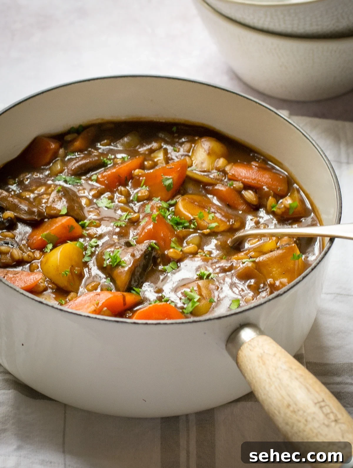 Vegan Ale and Pearl Barley Stew 2 Vegan Irish Stew