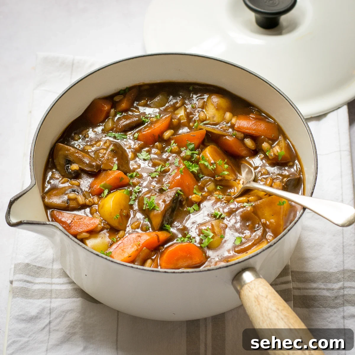 Vegan Ale and Pearl Barley Stew 11 Vegan Stew