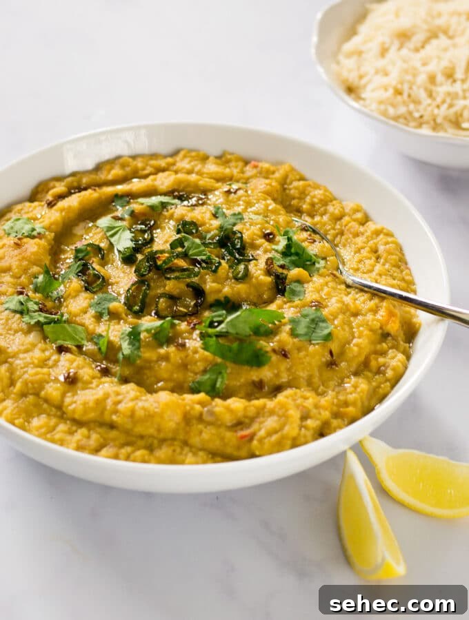 Vegan Ale and Pearl Barley Stew 8 Slow Cooker Dahl