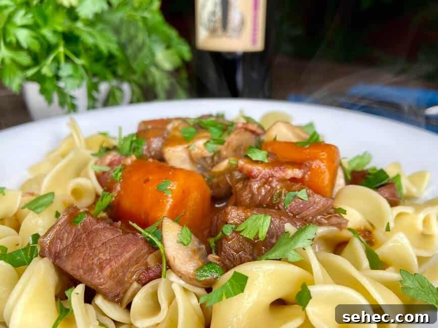 Julia Child Beef Bourguignon Recipe Made Simple 8 Beef and carrots served over pasta.