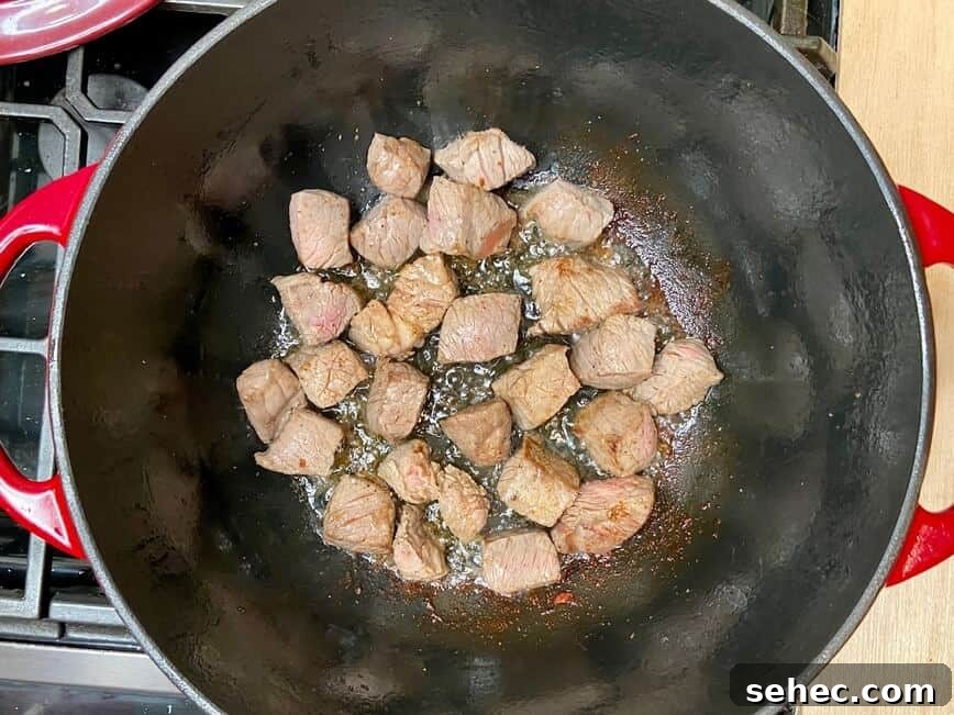 Julia Child Beef Bourguignon Recipe Made Simple 9 Browning beef in a Dutch oven.