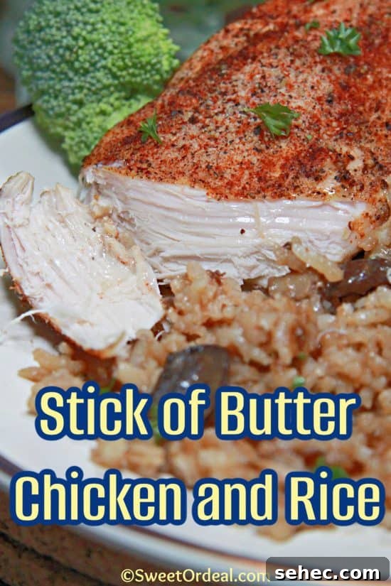 One Stick Butter Chicken and Rice Casserole 2 Stick of Butter Chicken and Rice is a vintage recipe using pantry staples with cozy in mind.