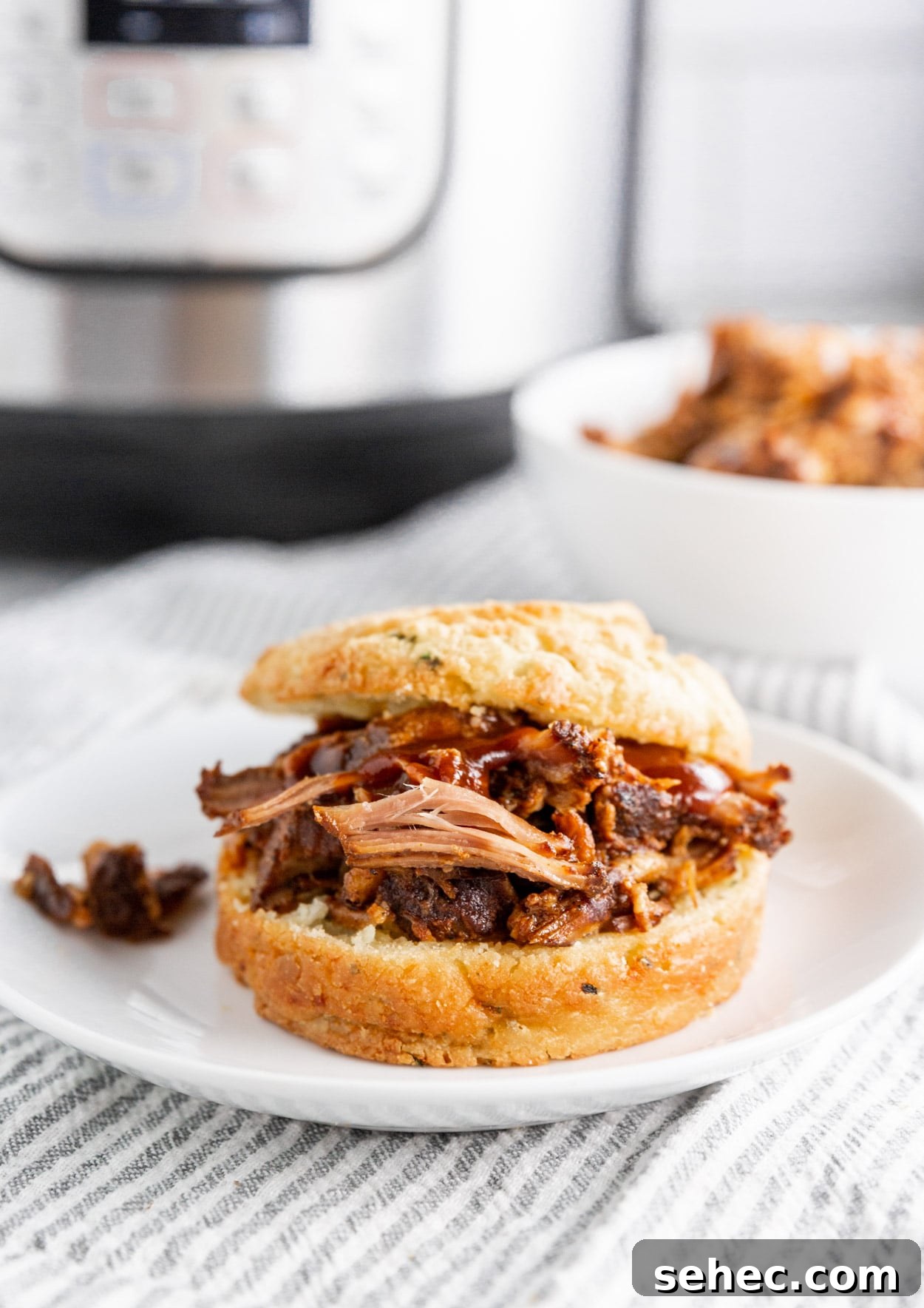 Instant Pot BBQ Pulled Pork Recipe 2 A photo of a BBQ Pulled pork sandwich with BBQ sauce and an Instant Pot in the background.