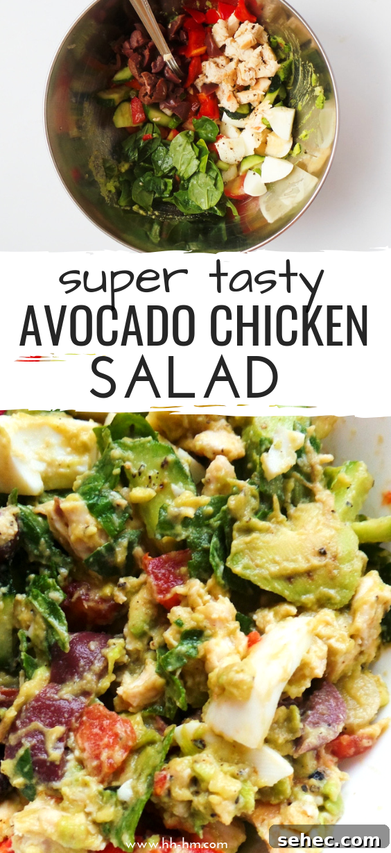 Keto Paleo Avocado Chicken Salad Recipe 5 Low carb and paleo avocado chicken salad made with no mayo or sour cream, served as a fresh lunch, snack, lettuce wrap, or toast topping.