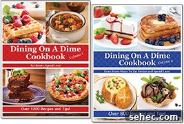 Homemade Funnel Cake Recipe with Crispy Golden Batter 3 Dining On A Dime Cookbooks - Save on Groceries With Easy Recipes for Tasty Dinners!